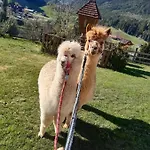 Διαμέρισμα Baby- Und Kinderbauernhof Montaning Forstau (Salzburg)