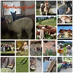 Baby- Und Kinderbauernhof Montaning