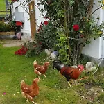 Διαμέρισμα Baby- Und Kinderbauernhof Montaning