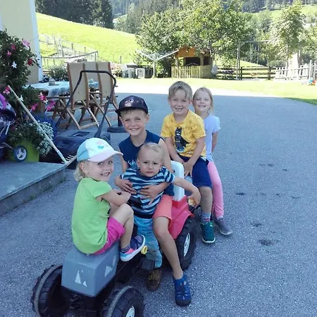 Baby- Und Kinderbauernhof Montaning Apartment Forstau (Salzburg)