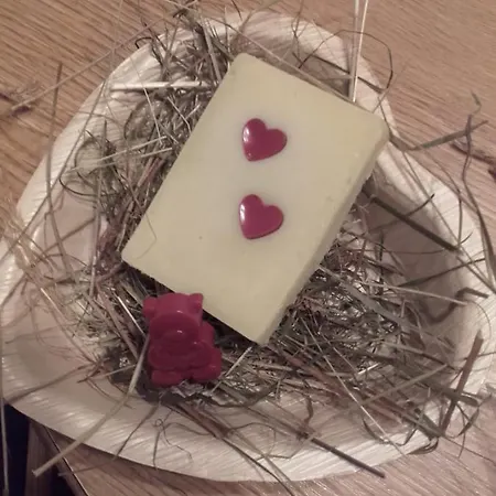 Apartment Baby- Und Kinderbauernhof Montaning Forstau (Salzburg)