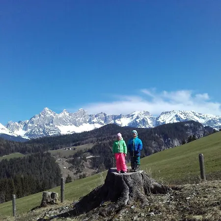 Apartament Baby- Und Kinderbauernhof Montaning Forstau (Salzburg)