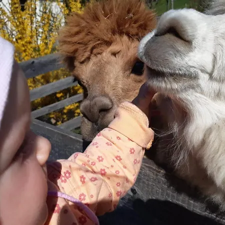 Baby- Und Kinderbauernhof Montaning Apartament Forstau (Salzburg)