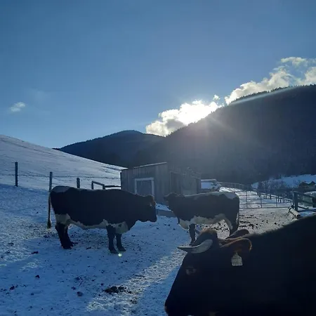 Apartament Baby- Und Kinderbauernhof Montaning *