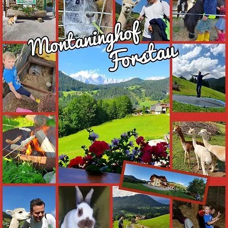 Baby- Und Kinderbauernhof Montaning