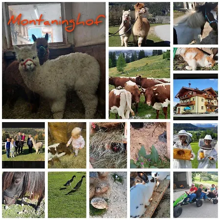 Baby- Und Kinderbauernhof Montaning