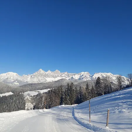 Baby- Und Kinderbauernhof Montaning Apartament Forstau (Salzburg)