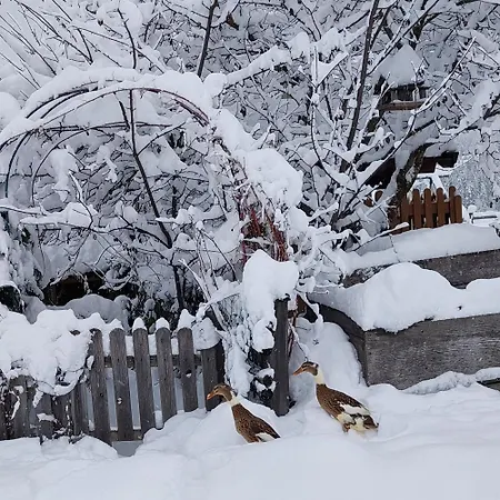 Apartament Baby- Und Kinderbauernhof Montaning *