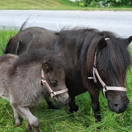 Baby- Und Kinderbauernhof Montaning