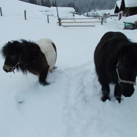 Apartament Baby- Und Kinderbauernhof Montaning *