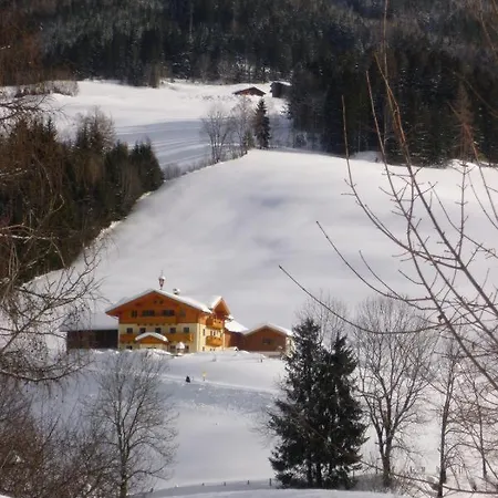 Baby- Und Kinderbauernhof Montaning Apartment Forstau (Salzburg)
