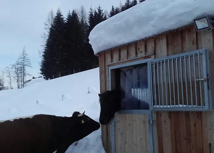 דירה Baby- Und Kinderbauernhof Montaning *