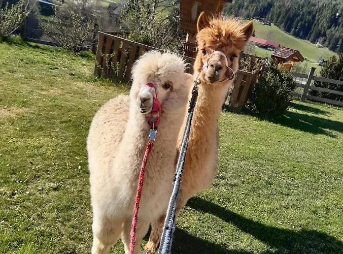 Lägenhet Baby- Und Kinderbauernhof Montaning Forstau (Salzburg)