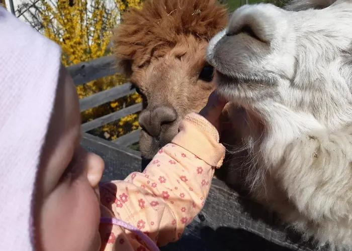 Baby- Und Kinderbauernhof Montaning Lägenhet Forstau (Salzburg)