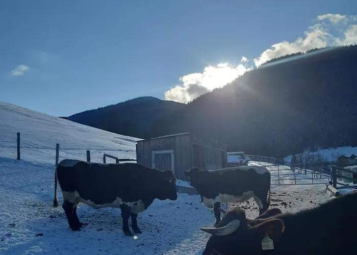 Lägenhet Baby- Und Kinderbauernhof Montaning *