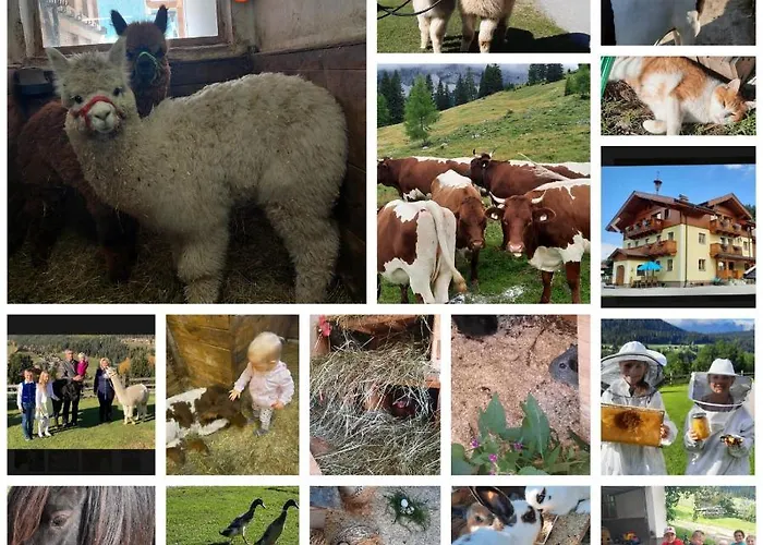 Baby- Und Kinderbauernhof Montaning