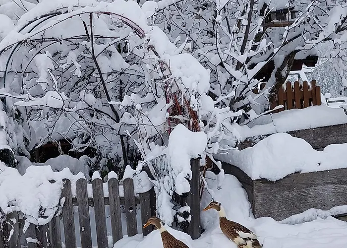 Lägenhet Baby- Und Kinderbauernhof Montaning *