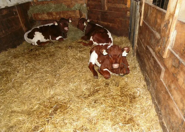 Baby- Und Kinderbauernhof Montaning フォルスタウ