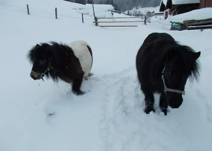 Lägenhet Baby- Und Kinderbauernhof Montaning *