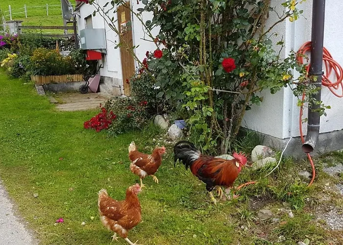 Lägenhet Baby- Und Kinderbauernhof Montaning